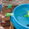 frog water table