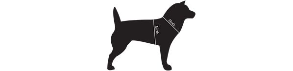 dog neck and girth measurements