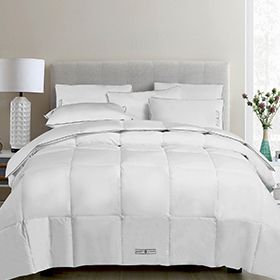 kohls ralph lauren bedding