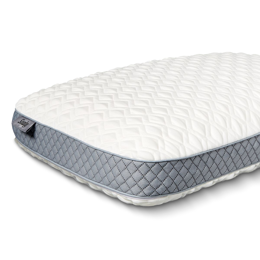 Sealy Memory Foam Contour Pillow