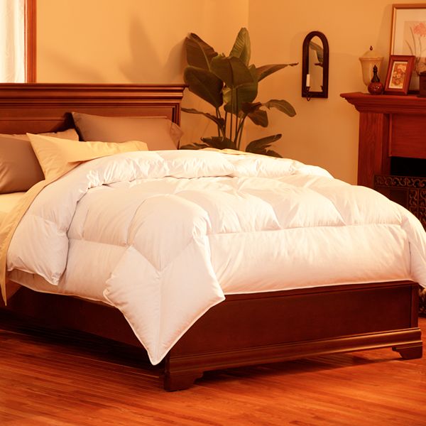 Pacific Coast Feather Super Loft 400Thread Count Down Comforter