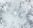snowflakes image