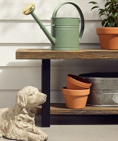 Watering can and flower pots on a table with a canine figuring in front.