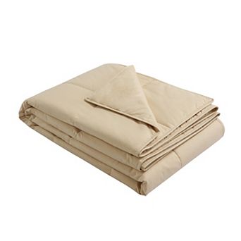 Cottonpure Cotton Filled Blanket