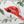 Jolly Cardinals Green