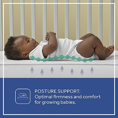 Sealy Baby Firm Rest Crib Mattress