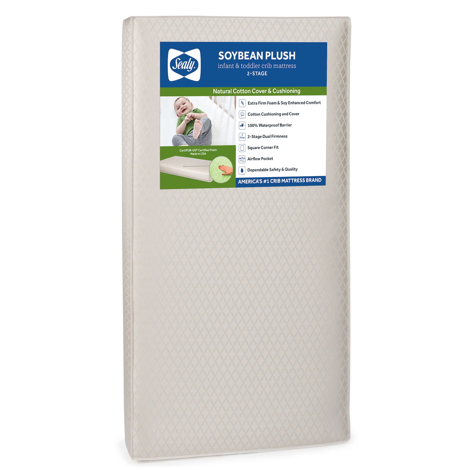 sealy soybean natural dream crib mattress