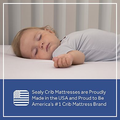 Sealy Soybean Plush Foam Core Crib Mattress
