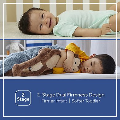 Sealy Soybean Plush Foam Core Crib Mattress