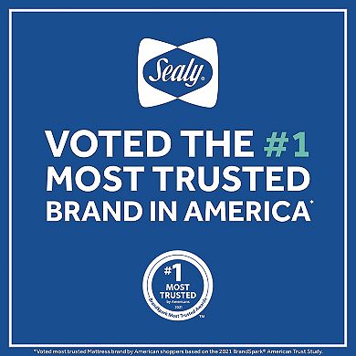Sealy Soybean Plush Foam Core Crib Mattress