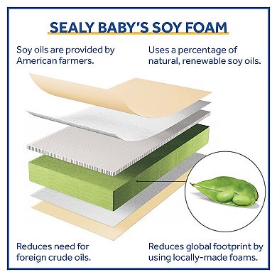 Sealy Soybean Plush Foam Core Crib Mattress