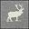 Gray Elk