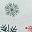 White Snowflake