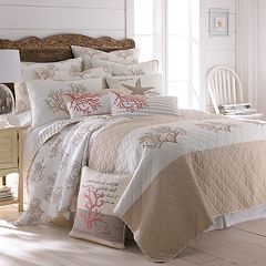 How can you locate seashell bedding?