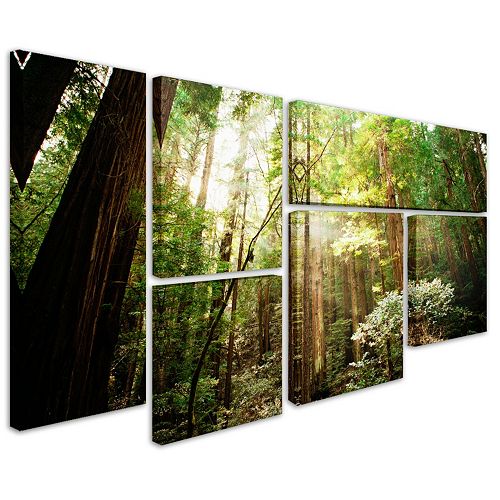 "Muir Woods" 6piece Canvas Wall Art Set