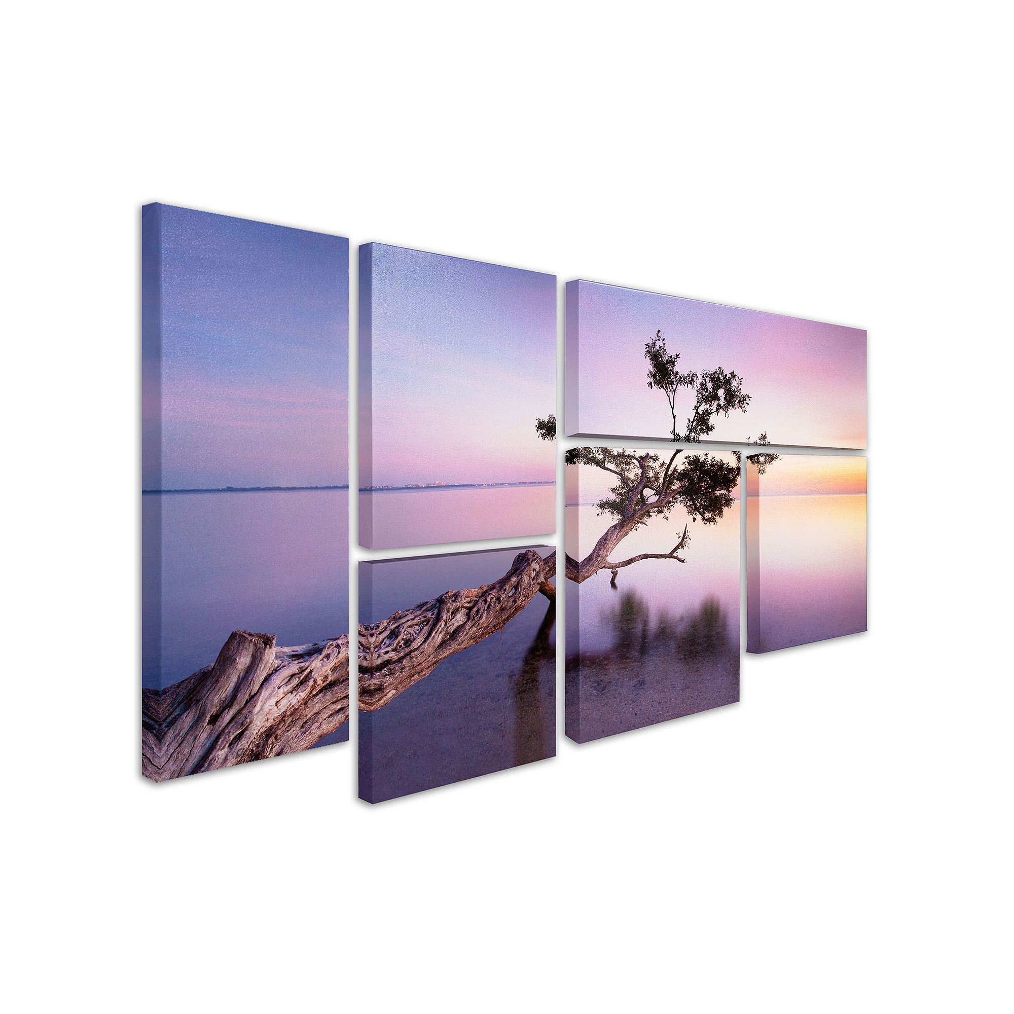 Water Tree XV 6-piece Canvas Wall Art Set, Multicolor