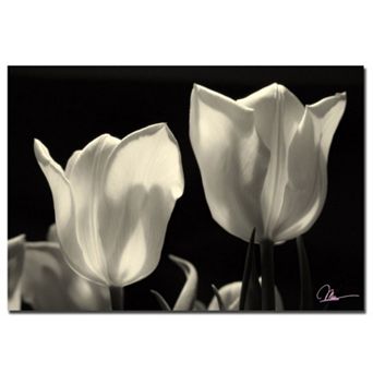 "Tulips" Canvas Wall Art