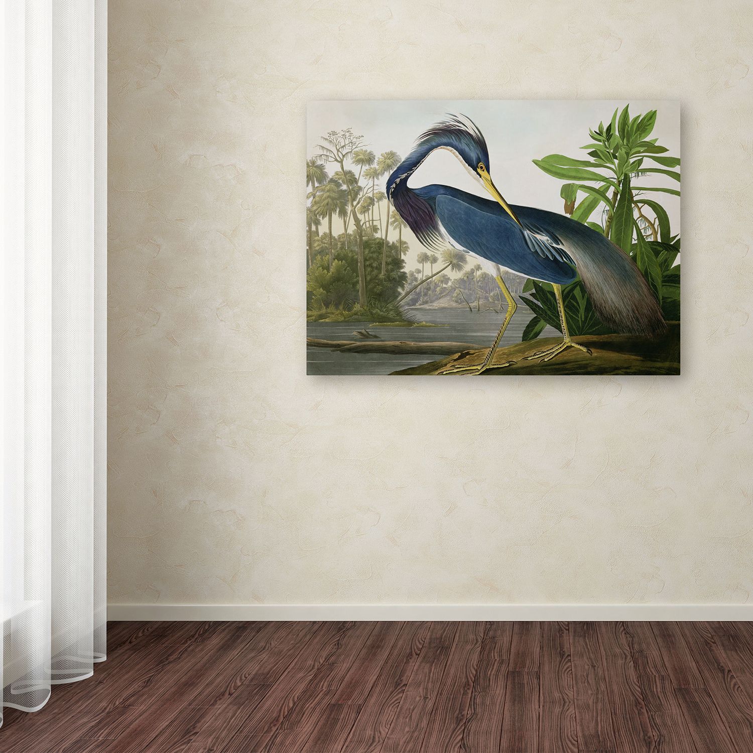 "Louisiana Heron" Canvas Wall Art