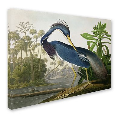 "Louisiana Heron" Canvas Wall Art