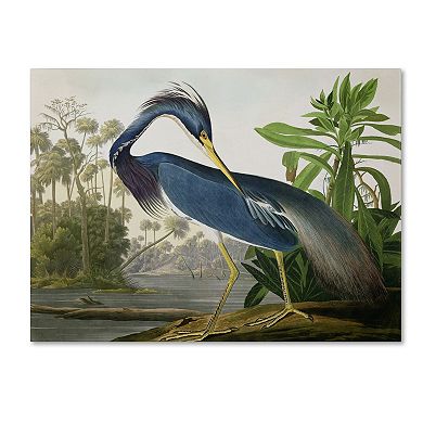 "Louisiana Heron" Canvas Wall Art