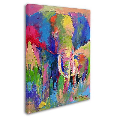 "Elephant 1" Canvas Wall Art