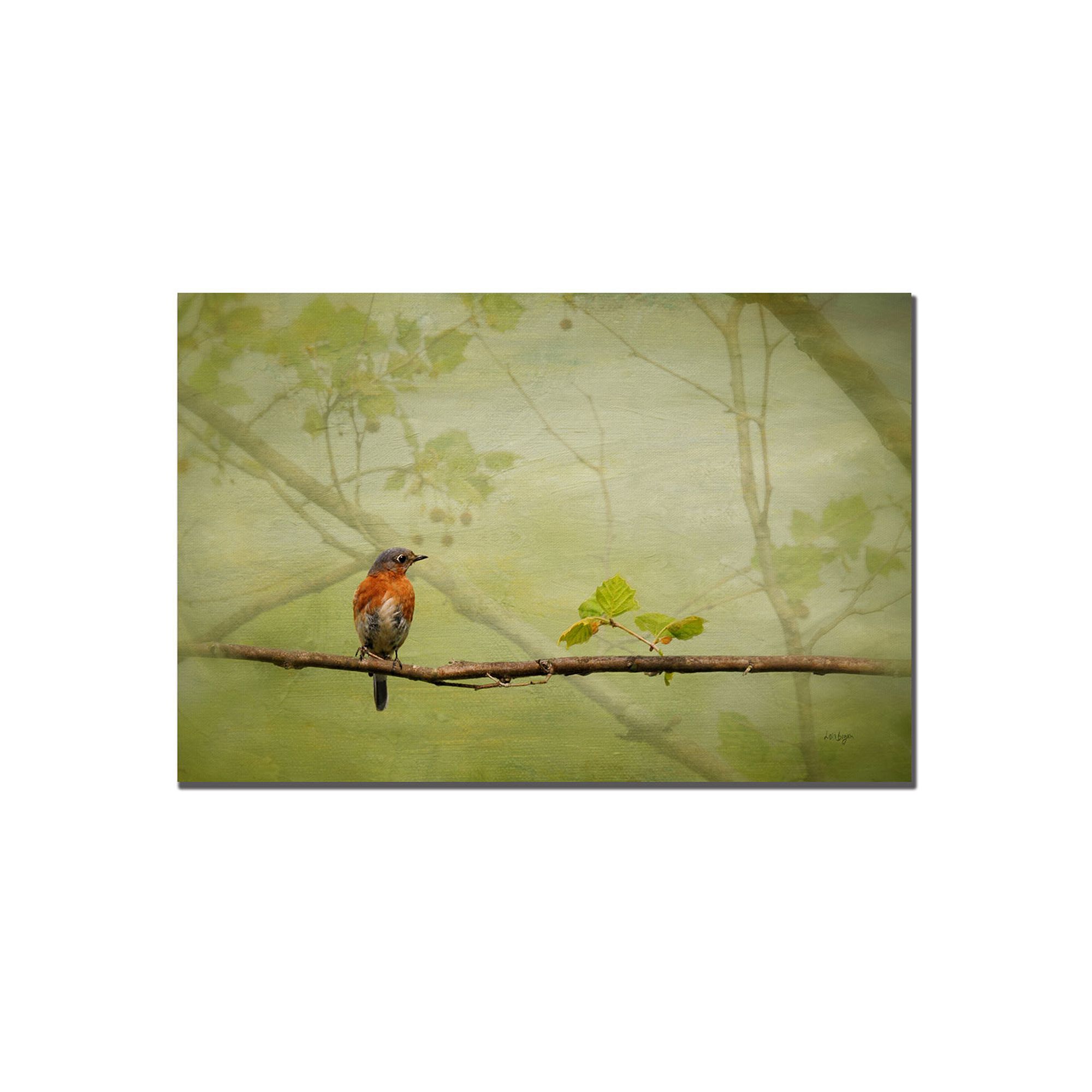 Bluebird in Spring Canvas Wall Art, Multicolor