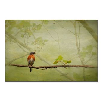 "Bluebird in Spring" Canvas Wall Art