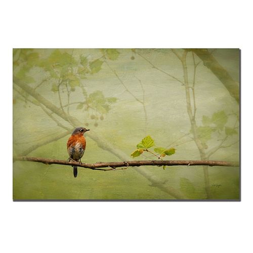 Bluebird in Spring Canvas Wall Art