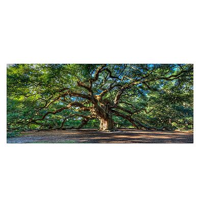 "Angel Oak Charleston" Canvas Wall Art