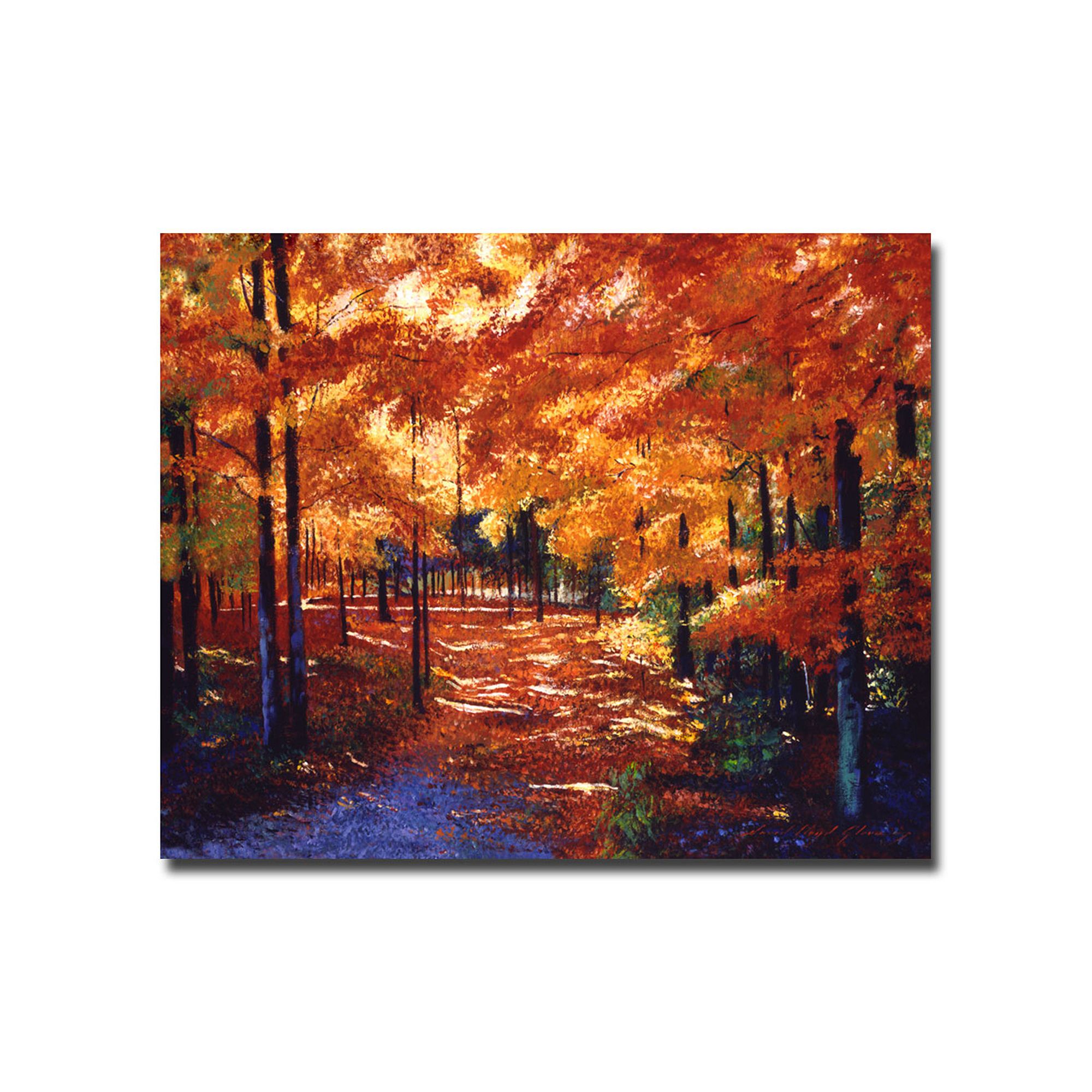 Magical Forest Canvas Wall Art, Multicolor