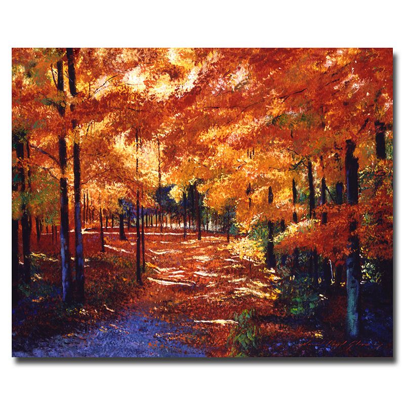 Magical Forest Canvas Wall Art, Multicolor, 35X47