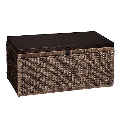 Southern Enterprises Dora Storage Trunk