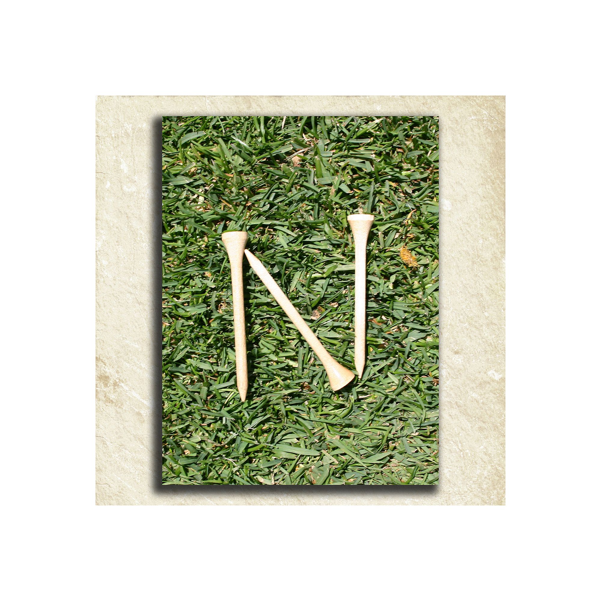 Golf Alphabet Wall Art, N
