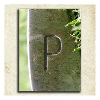 ''Golf'' Alphabet Wall Art