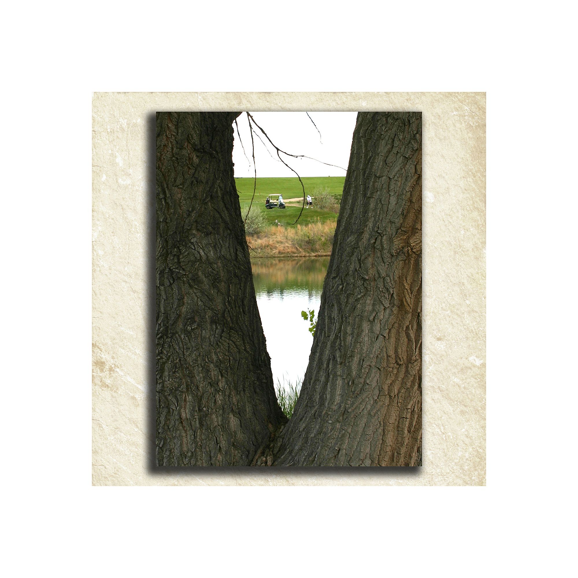 Golf Alphabet Wall Art, V
