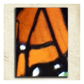 ''Nature'' Alphabet Wall Art