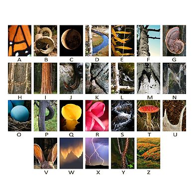 ''Nature'' Alphabet Wall Art