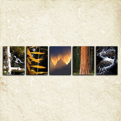 ''Nature'' Alphabet Wall Art