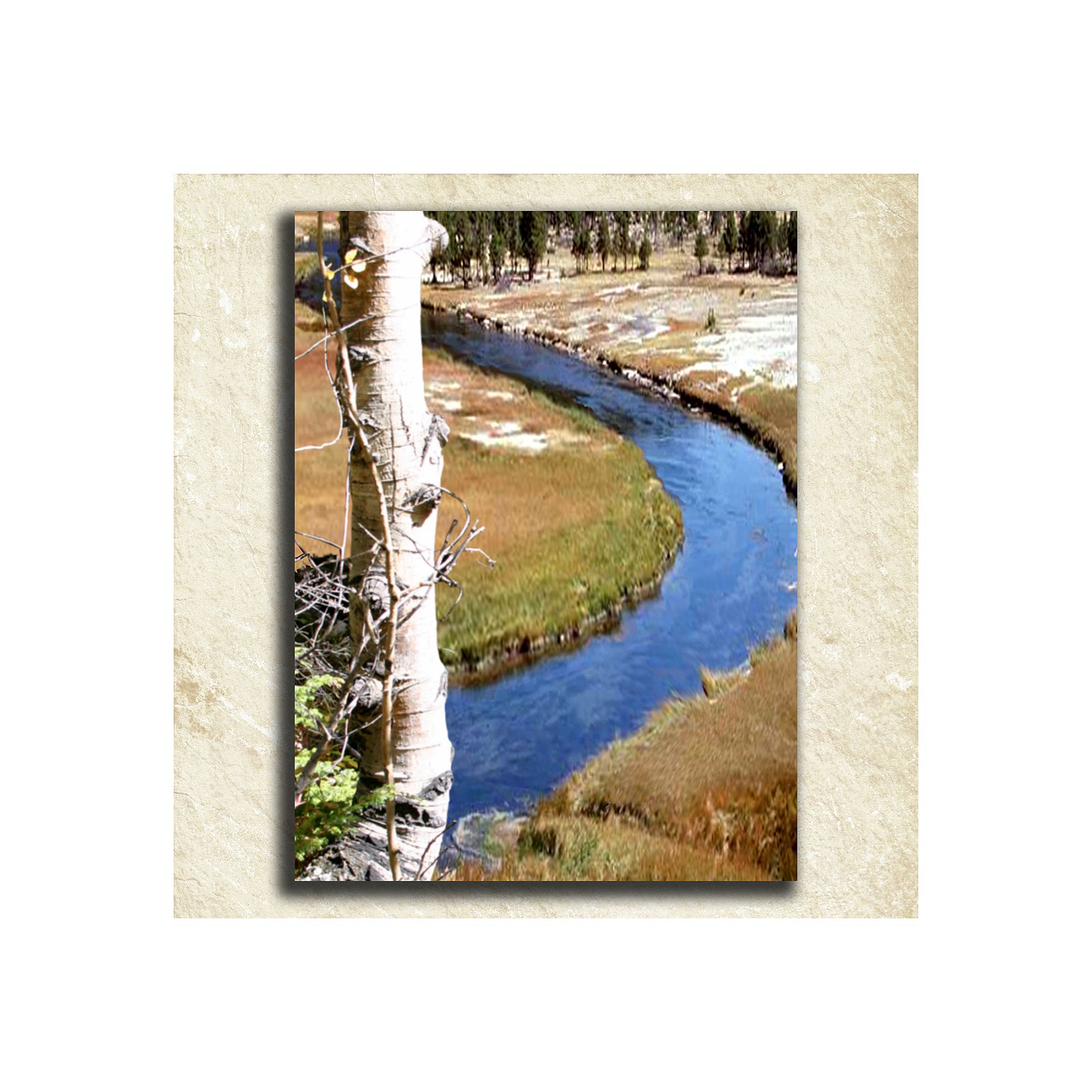 Nature Alphabet Wall Art, D