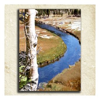 ''Nature'' Alphabet Wall Art