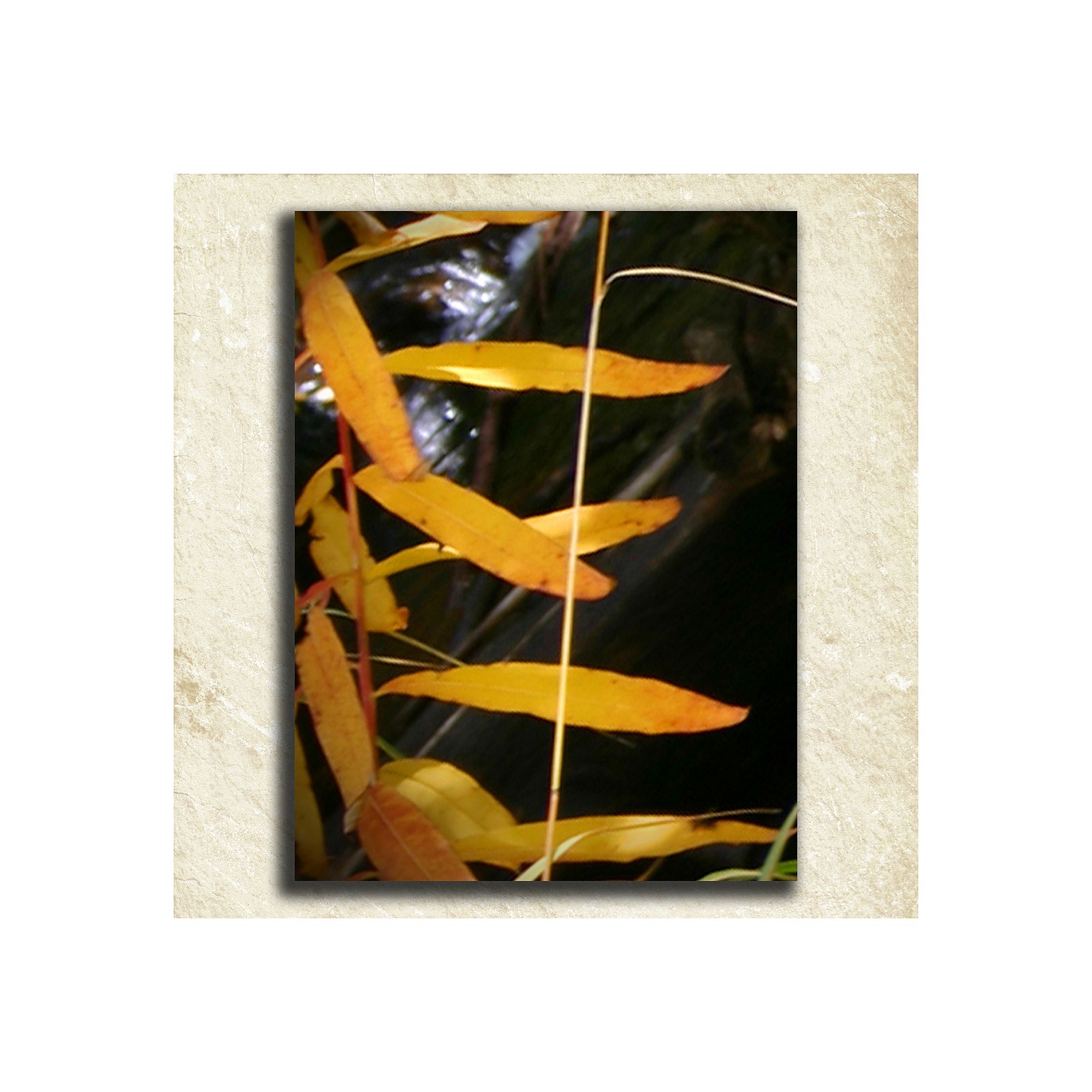 Nature Alphabet Wall Art