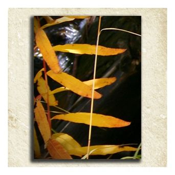 ''Nature'' Alphabet Wall Art