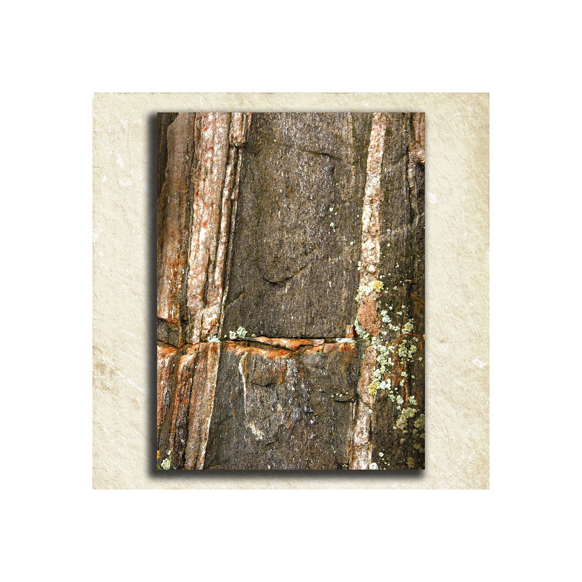 Nature Alphabet Wall Art