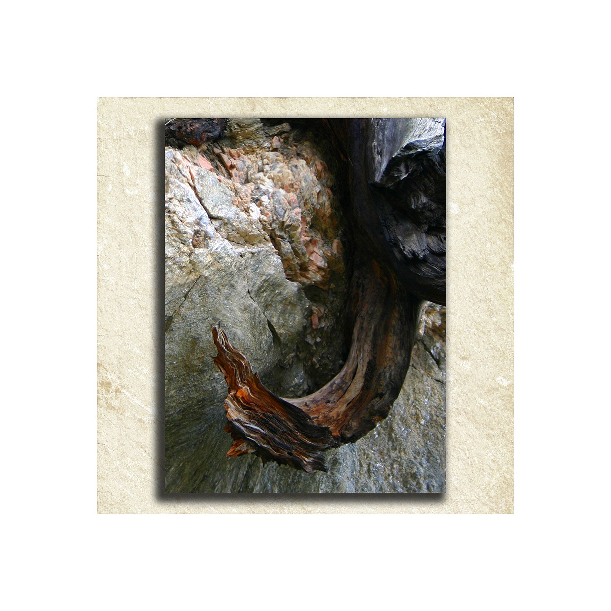 Nature Alphabet Wall Art, J