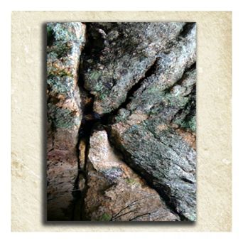 ''Nature'' Alphabet Wall Art