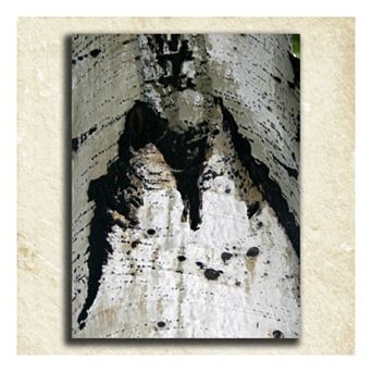 ''Nature'' Alphabet Wall Art