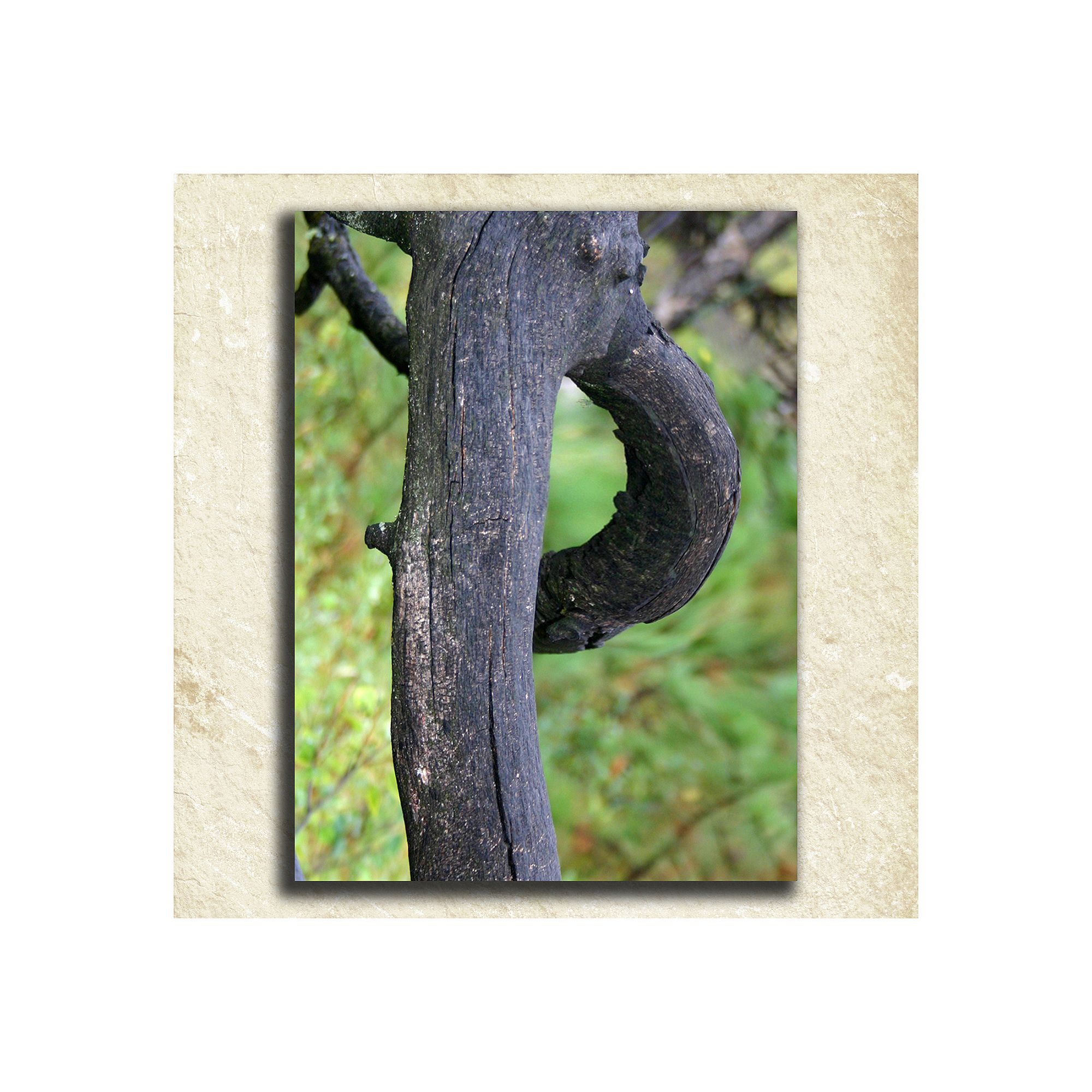 Nature Alphabet Wall Art