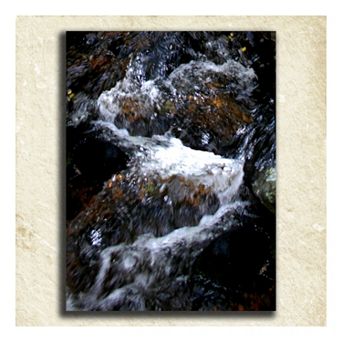 ''Nature'' Alphabet Wall Art