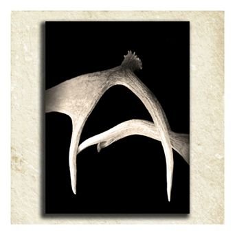 ''Antler'' Alphabet Wall Art