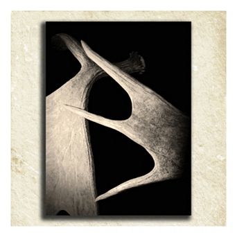 ''Antler'' Alphabet Wall Art
